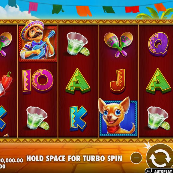Chilli Heat Spicy Spins